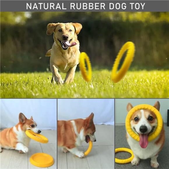 Dog Flying Disc,Floating Dog Ring Toys, Indestructible Dog Chew Toys - Picture 4 of 8
